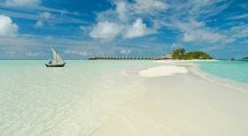 cocoa-island-content-resize1 cocoa-island-content-resize1