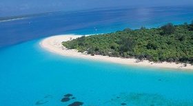mnemba_island_lodge mnemba_island_lodge