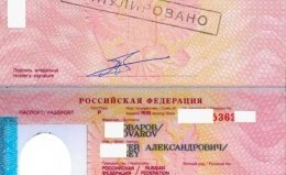 загранпаспорт загранпаспорт